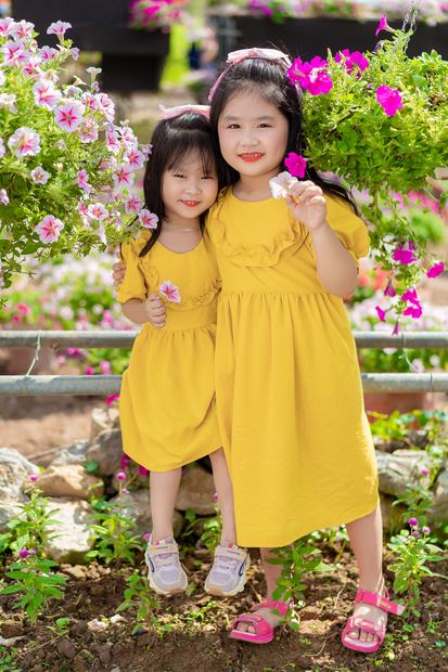 Ảnh gia đình chụp tại cánh đồng hoa và trang trại