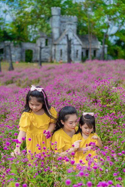 Ảnh gia đình chụp tại cánh đồng hoa và trang trại