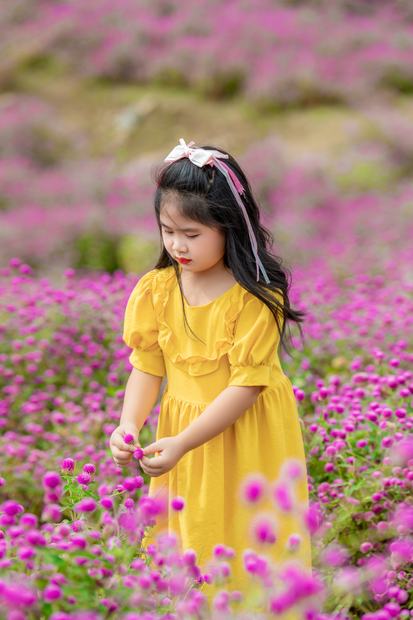 Ảnh gia đình chụp tại cánh đồng hoa và trang trại