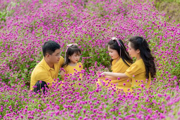Ảnh gia đình chụp tại cánh đồng hoa và trang trại