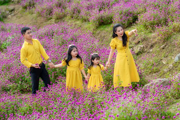 Ảnh gia đình chụp tại cánh đồng hoa và trang trại